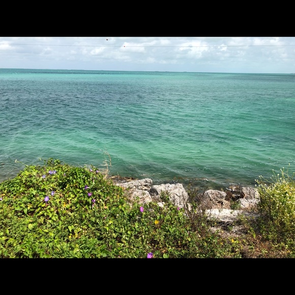 Meet your Posher, Amy - Picture 2 of 2